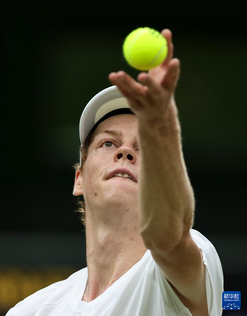 类巴西人的 类巴西人的