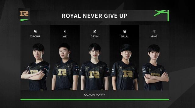 在过去几届 在过去几届